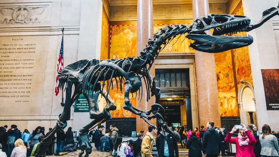 American Museum of Natural History