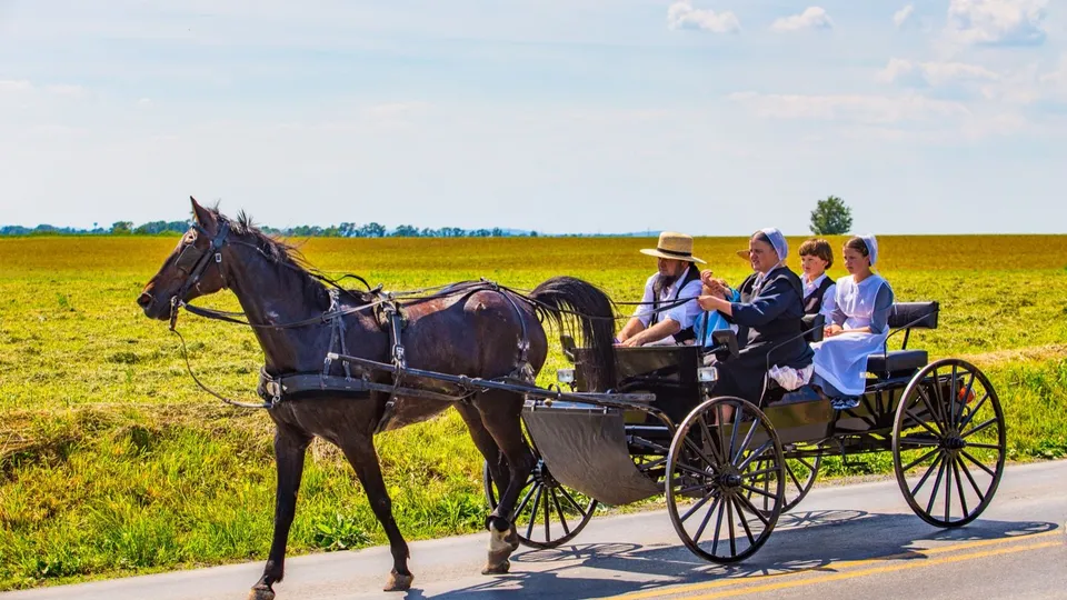 Comunità Amish
