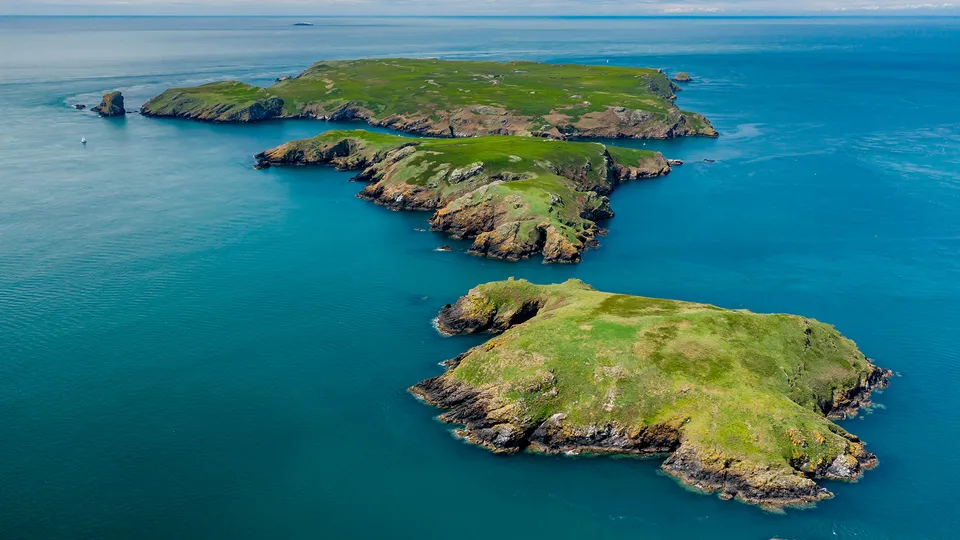 Skomer Island
