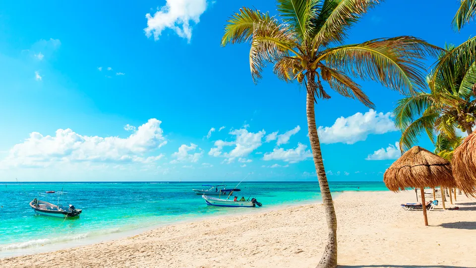 Spiaggia caraibica con palme in Messico
