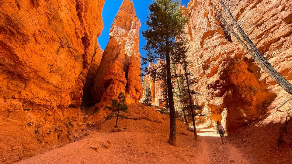 Bryce Canyon