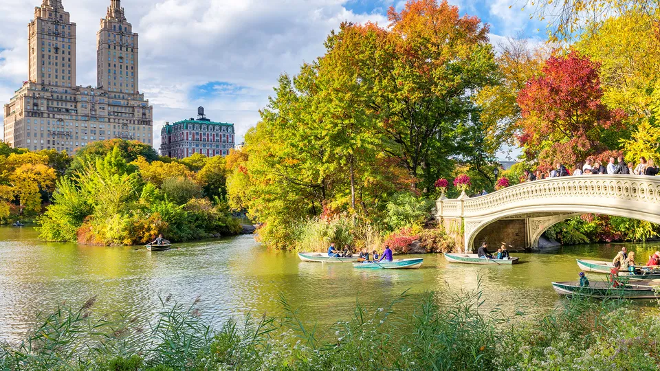 Central Park