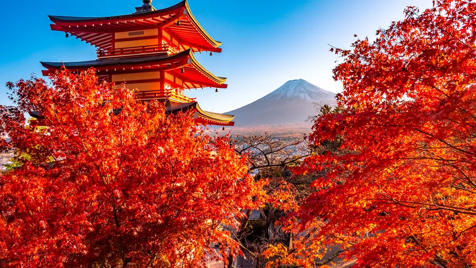 pagoda a cinque piani Chureito tra gli alberi in autunno con vista sul Monte Fuji