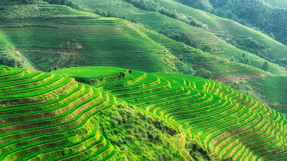 Terrazze di riso di Longji in Cina