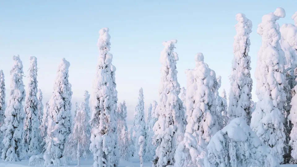 Finlandia - Parco di Riisitunturi