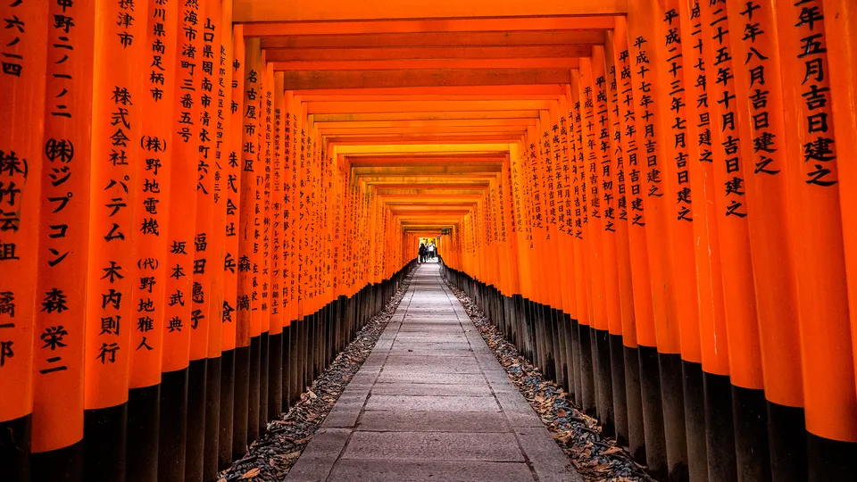 Santuario shinto Fushimi Inari Taisha con portali rossi, detti torii