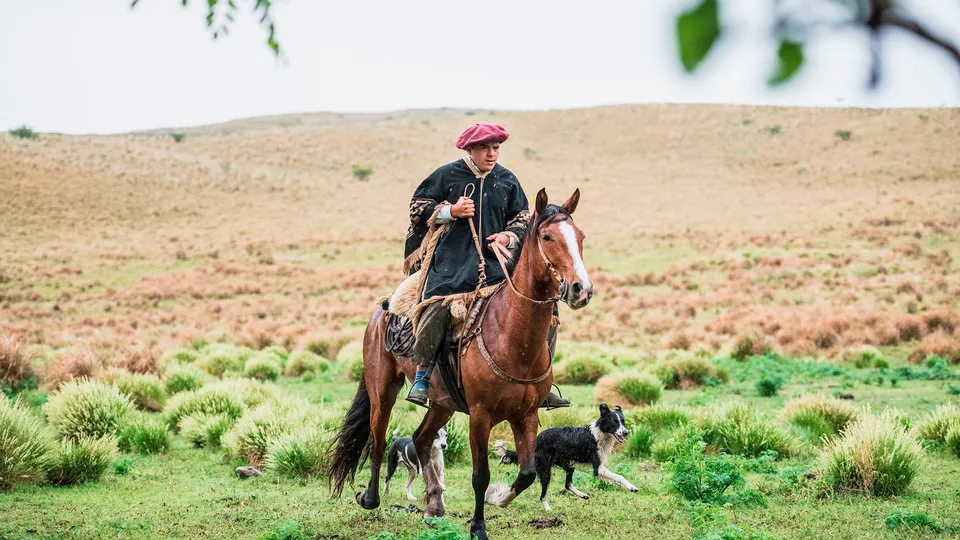 Gaucho argentino a cavallo nella pampa
