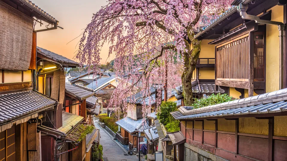 Higashiyama in primavera