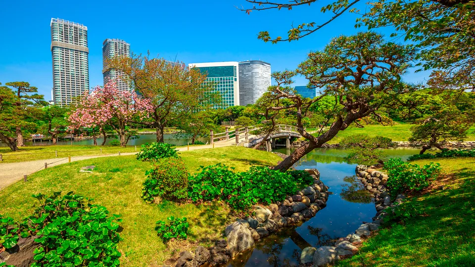 Giardini del palazzo imperiale di Tokyo