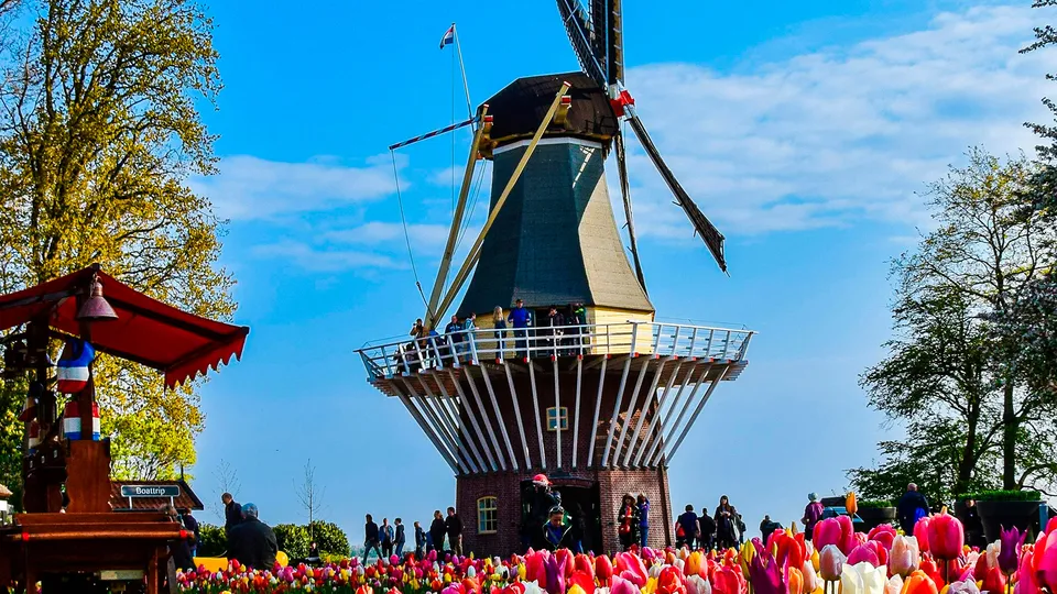 Mulino del parco Keukenhof di Amsterdam