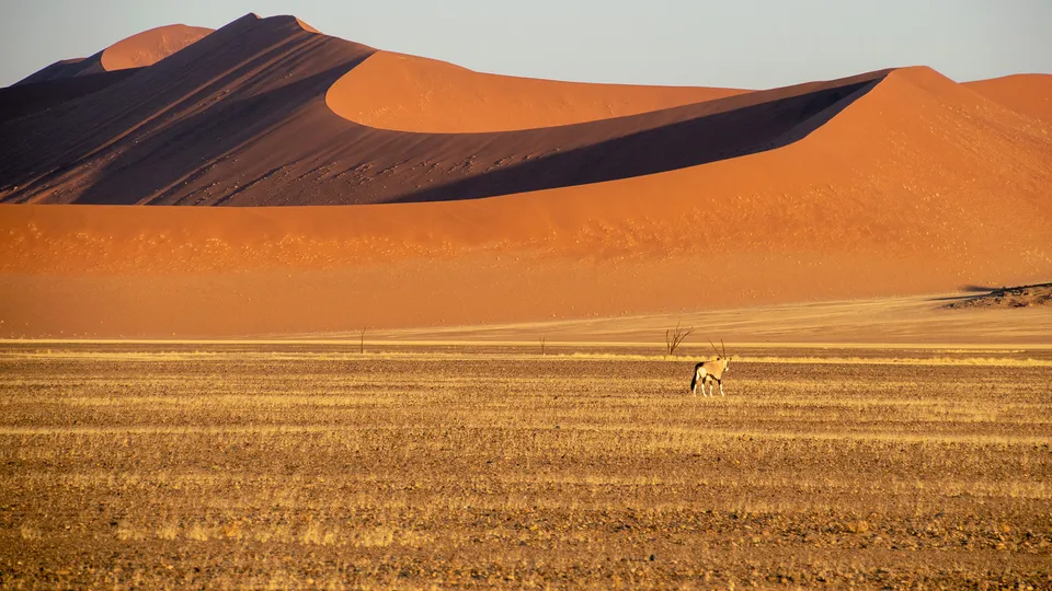 Deserto del Namib