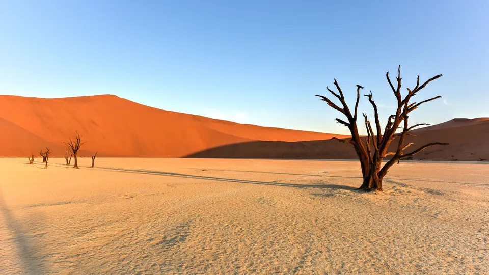 Namibia - Deadvlei