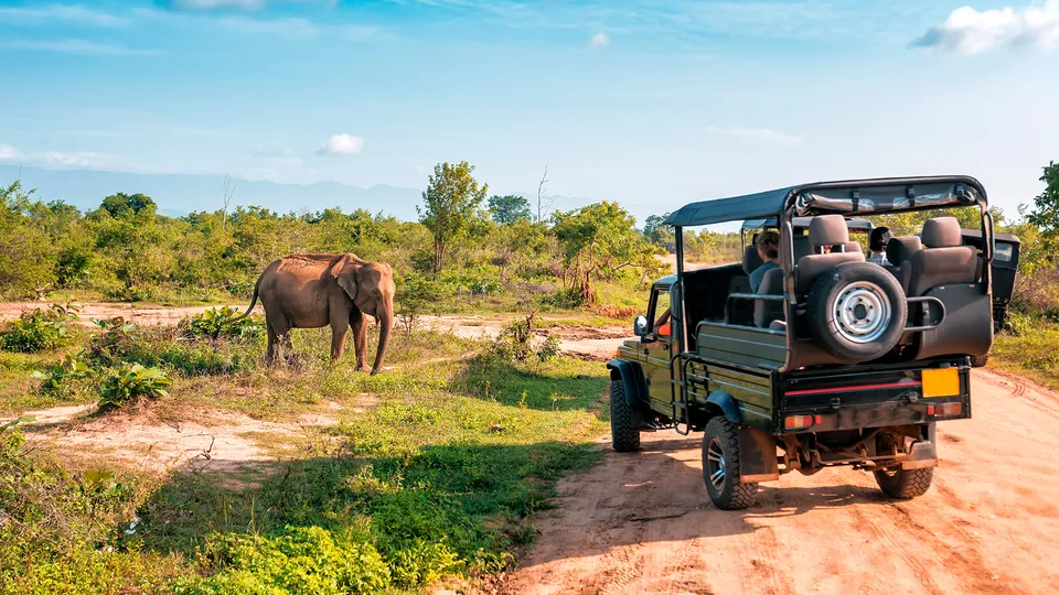 Safari nel Parco di Chitwan in Nepal