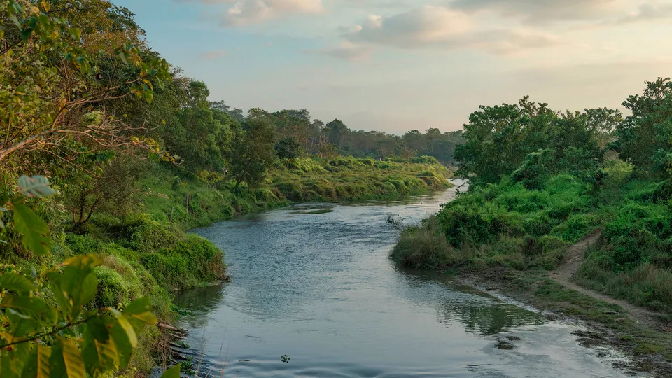 Parco di Chitwan in Nepal