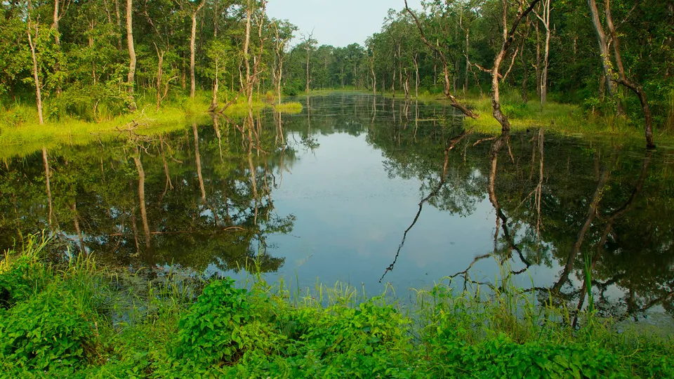 Parco di Chitwan in Nepal