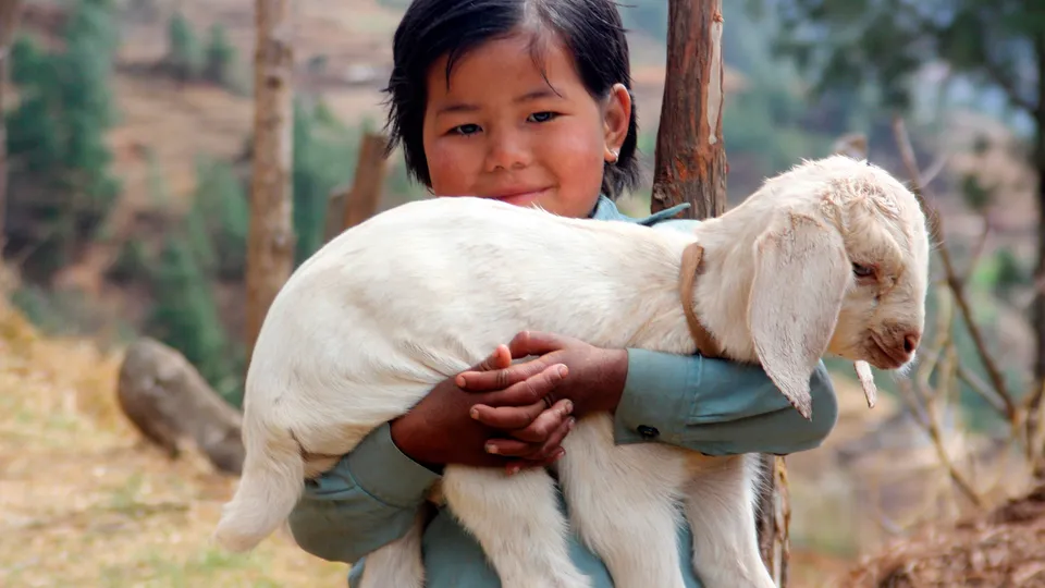 Villaggio Gurung