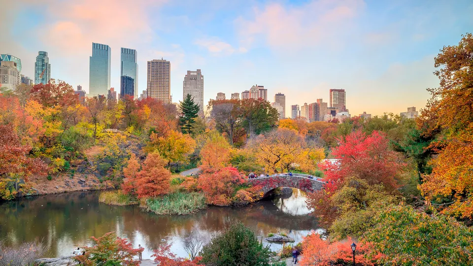 Central Park