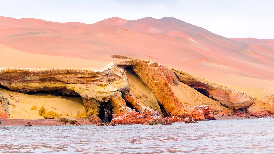 Riserva Nazionale di Paracas in Perù