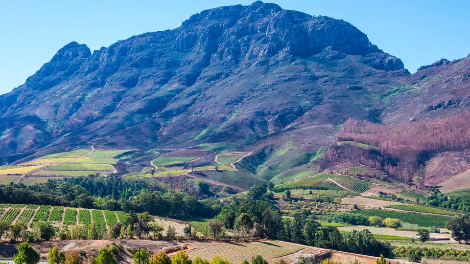 Winelands a Città del Capo