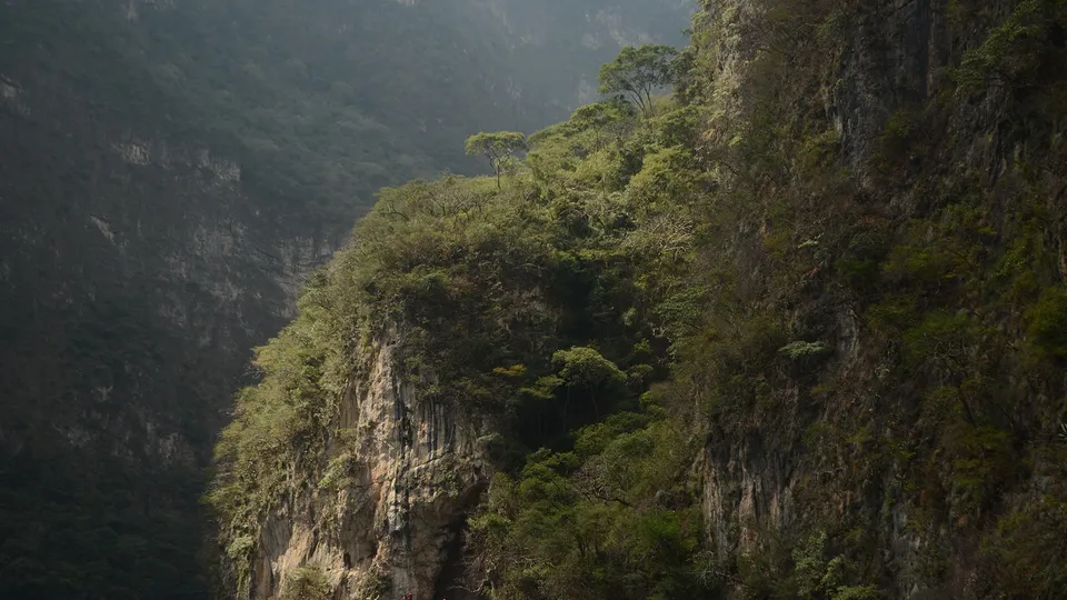 Parete rocciosa nel Canyon del Sumidero in Messico