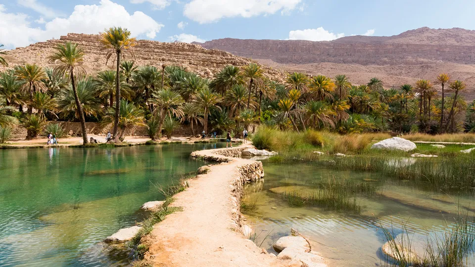 Oasi di Wadi Bani Khalid in Oman