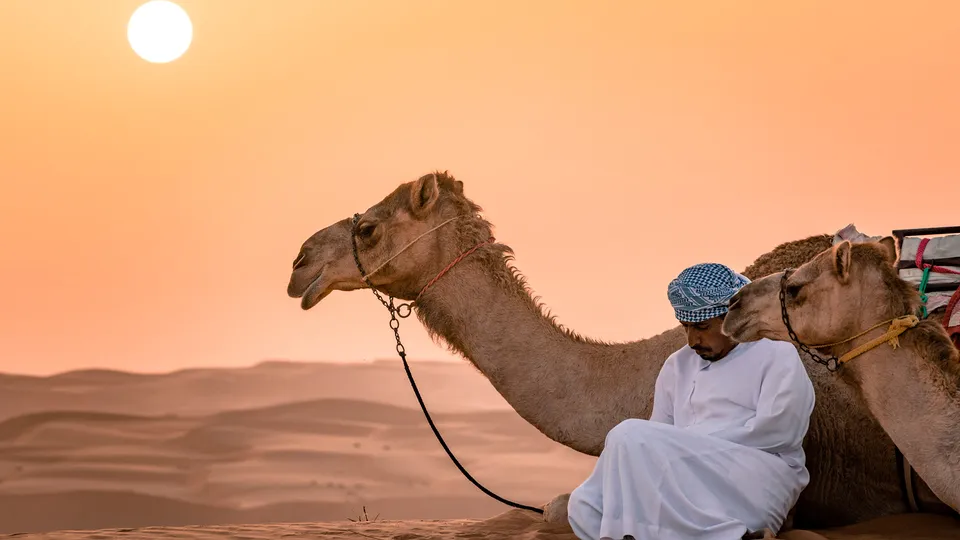 Cammello e beduino nel deserto al tramonto