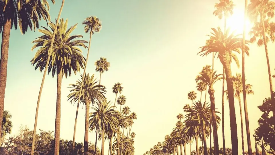Venice Beach