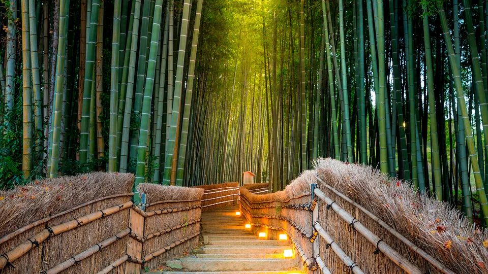 Arashiyama, foresta di bambù