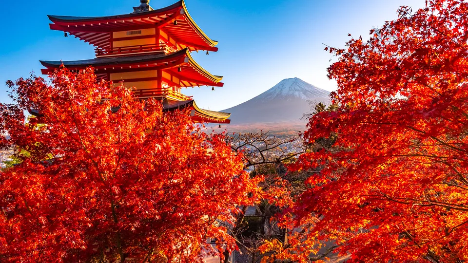 Viaggio di gruppo in Giappone in autunno