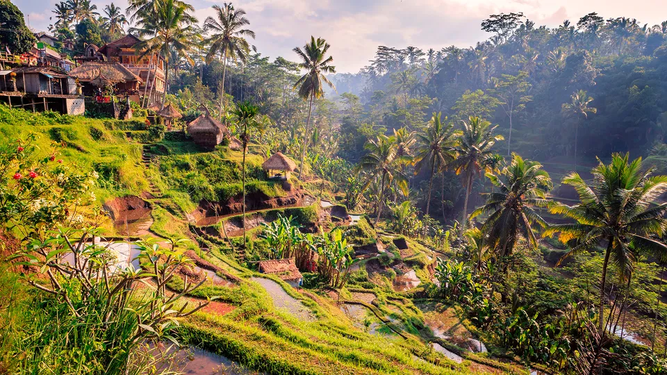 Ubud, Bali