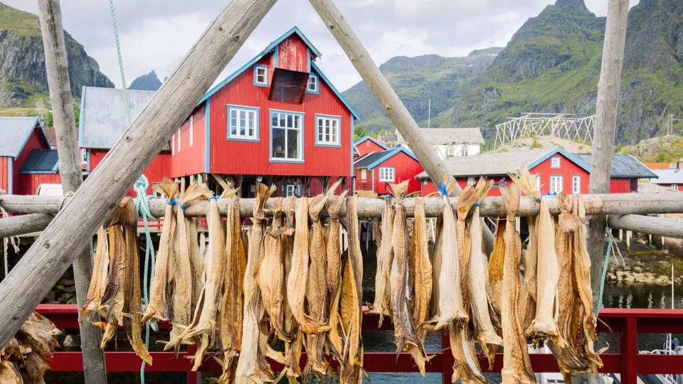 Stoccafisso Norvegese
