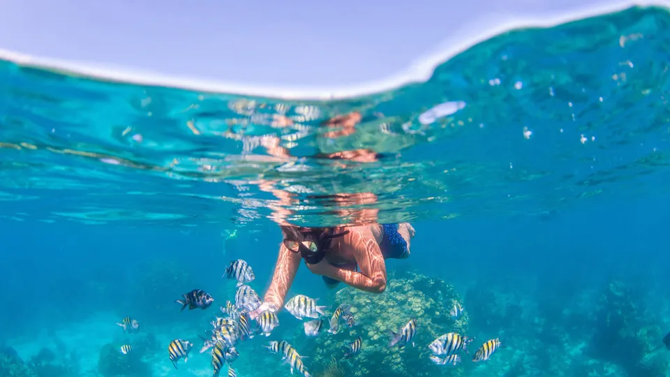 Uomo che fa snorkeling tra i pesci nel mar dei Caraibi