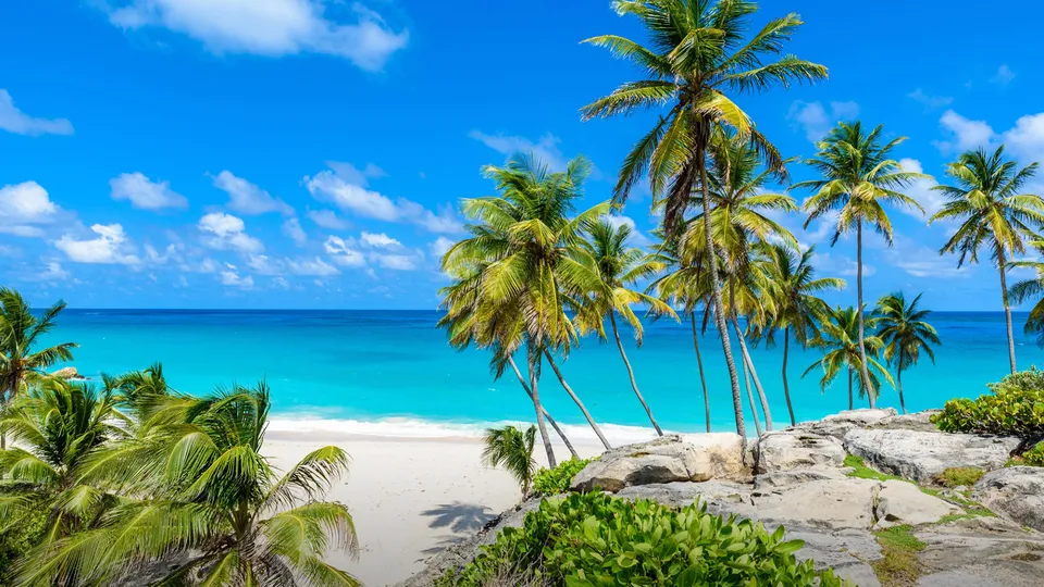 Spiaggia con palme nei Caraibi