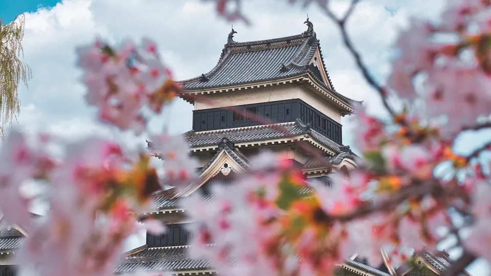 Castello di Matsumoto in primavera