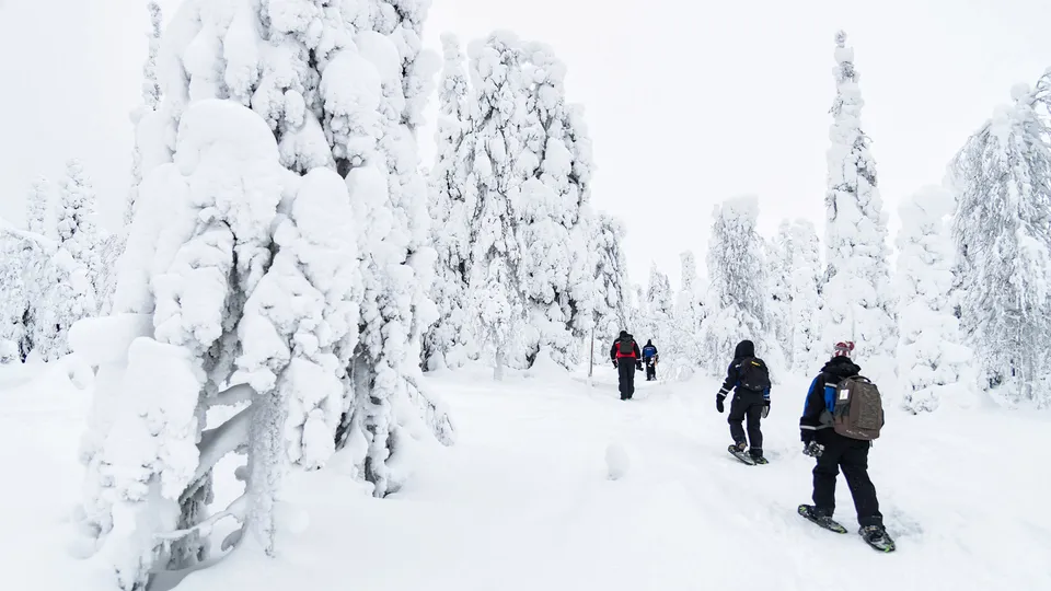 Ciaspolata nell'Oulanka National Park