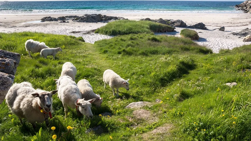 Spiagge Andenes