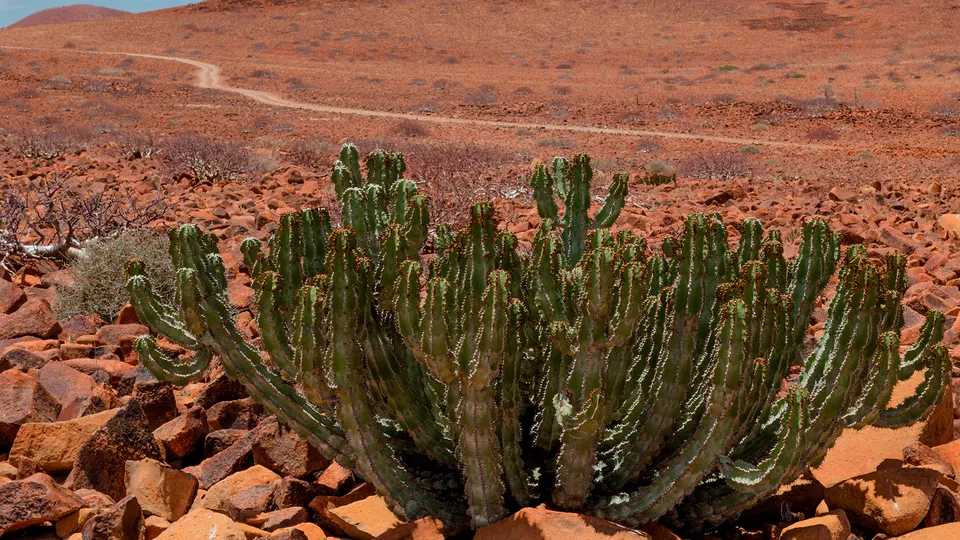 Paesaggio del Damaraland