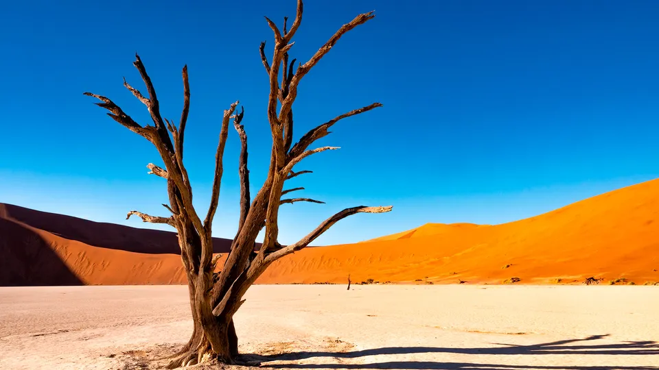 Deadvlei