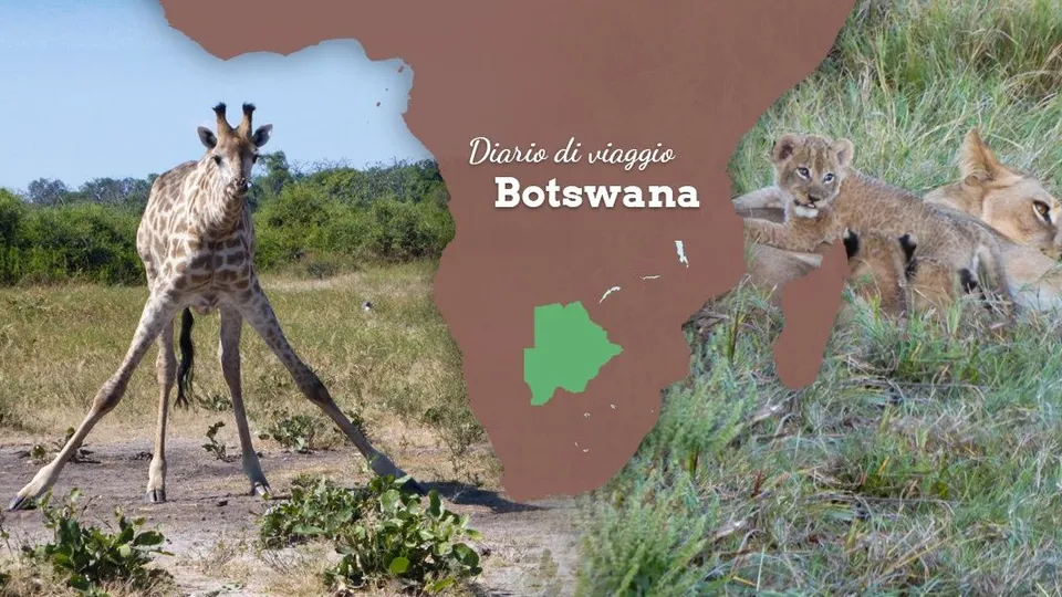 Diario di viaggio Botswana.