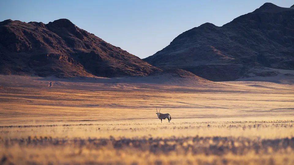 Diario di viaggio in Namibia: orice