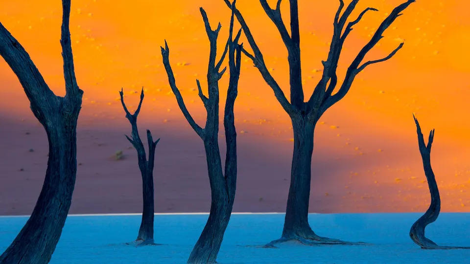 Diario di viaggio in Namibia, Deadvlei