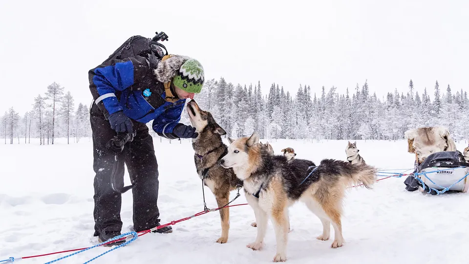 Escursione con gli husky in Lapponia finalndese