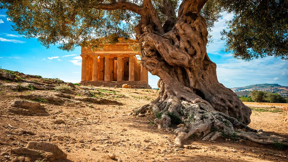 Valle dei Templi di Agrigento