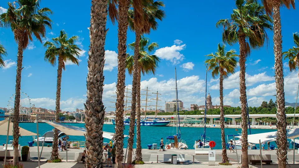 Porto di Malaga con palme