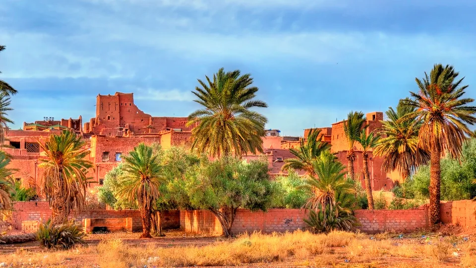 Palmeto di Skoura in Marocco