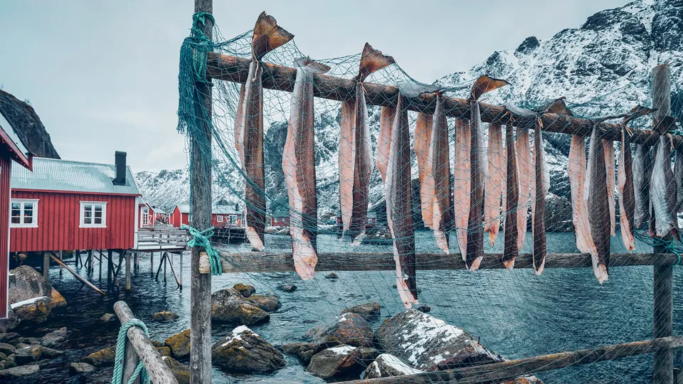 Merluzzo in Norvegia
