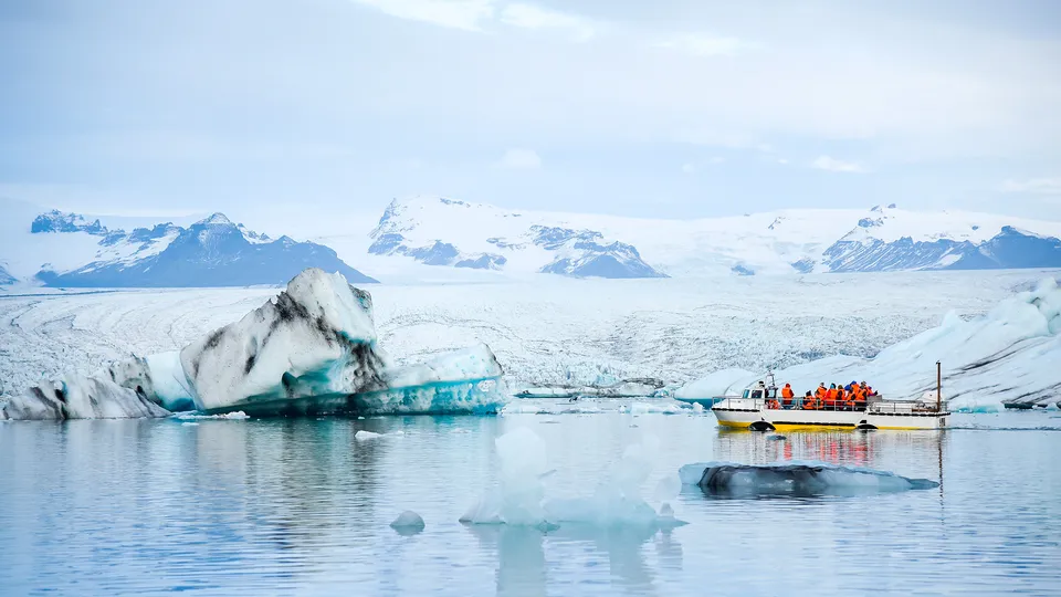 Mezzo anfibio nella laguna glaciale di Jokulsarlon