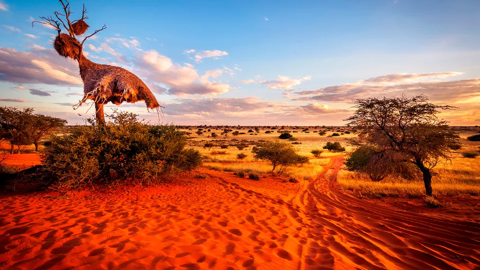 Panorama Namibia