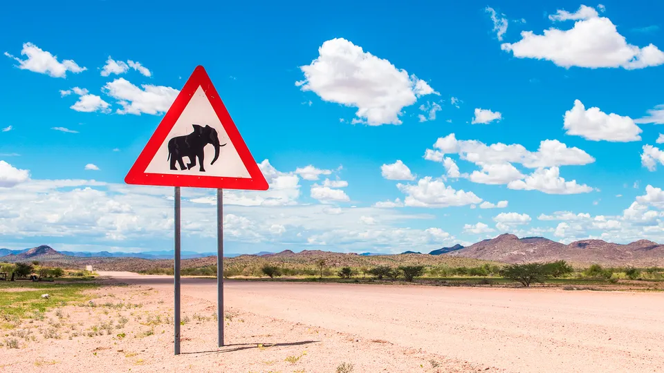 Cartello passaggio elefanti in Namibia