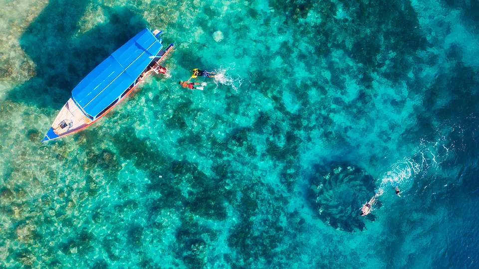 Snorkeling a Bali